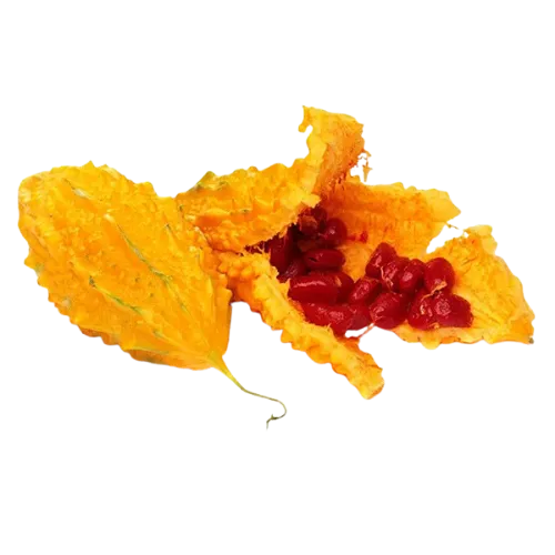 Imagem da composição 4